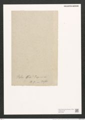 Nitzschia palea var. ? tropica Grun. (de-Toni-Nr.: Genus 47, Species 2127) Zeichnungen Sammlung Grunow (NHMW-BOT-W0372258)